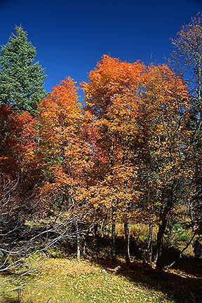 Mogollon Rim, October 23, 2014